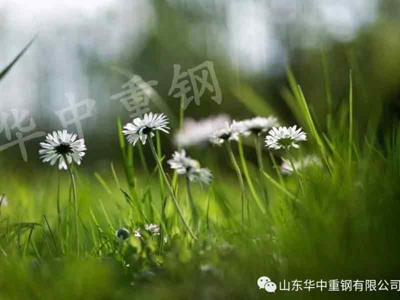 【华中重钢】你什么都舍不得扔，还谈什么生活质量（深度好文）